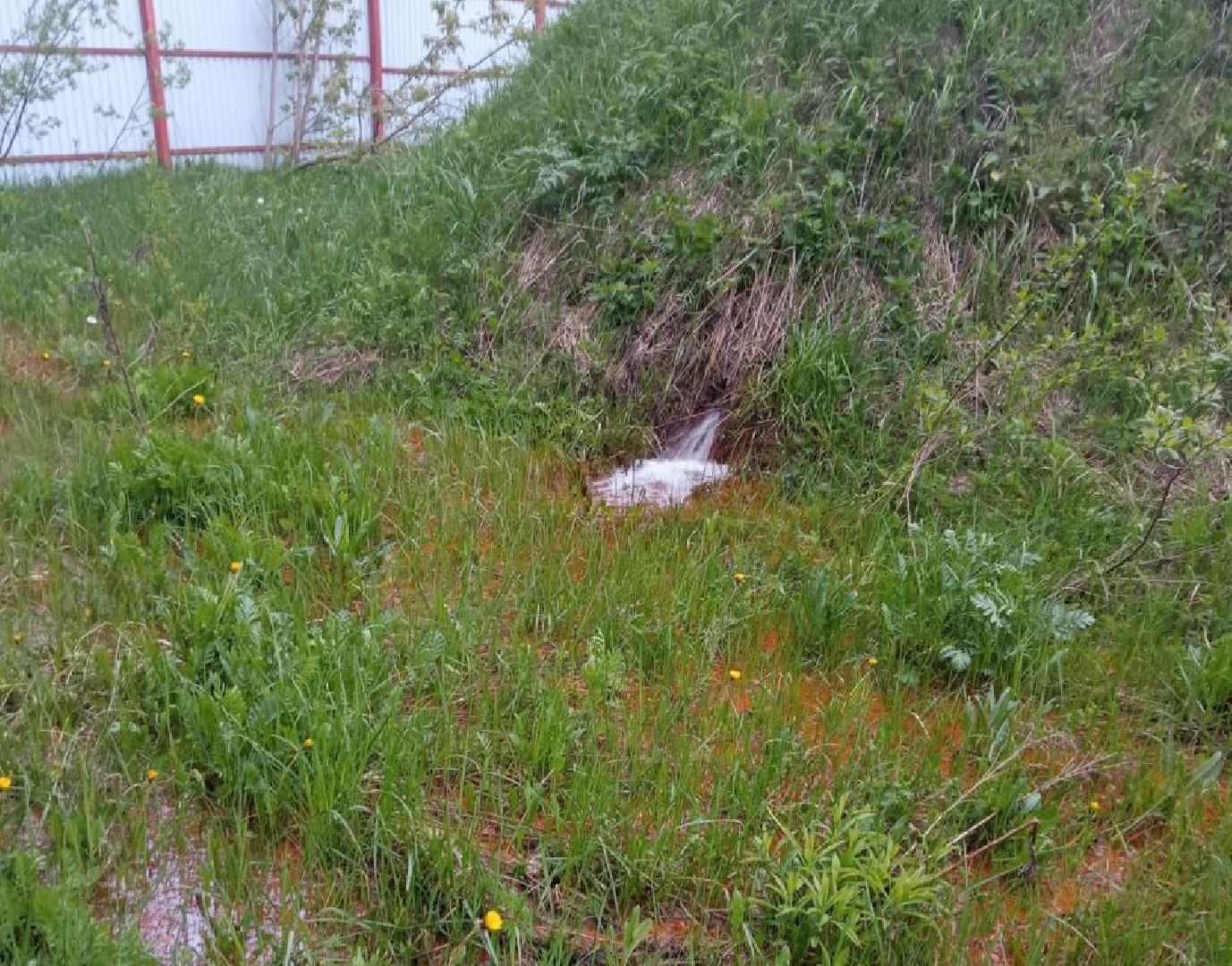 Ногинск, Ямкино, Жители, Общество, Ремонт, вода, выездная администрация, Власть,