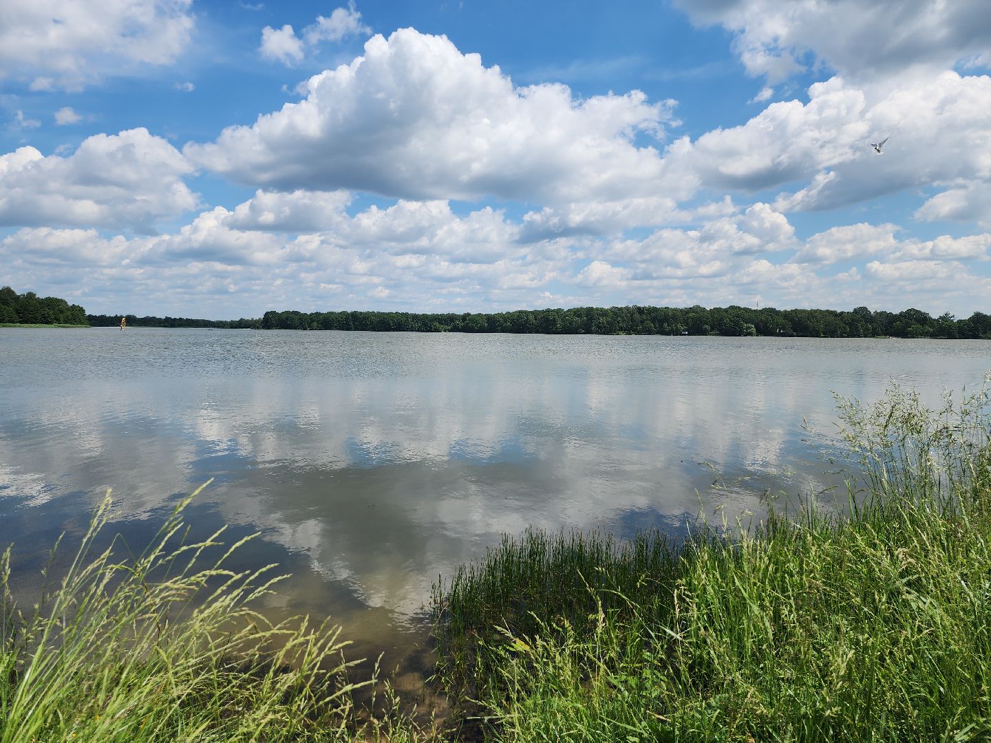 пляжный сезон, купальный сезон, озеро, Бисерово, Богородский городской округ,
