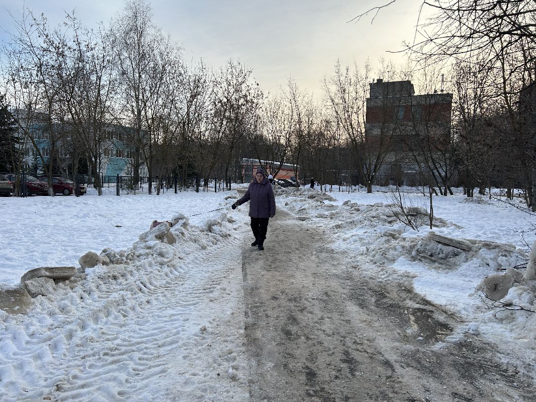 Фрязино, общество