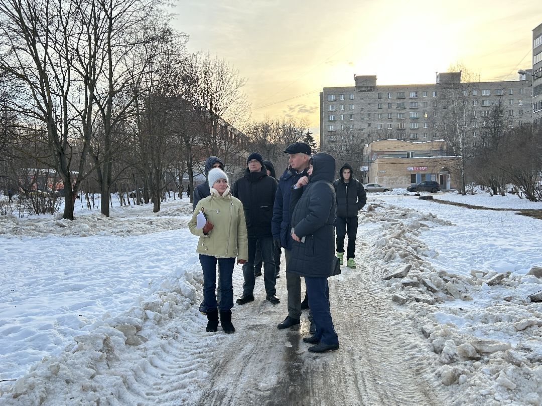 Фрязино, общество