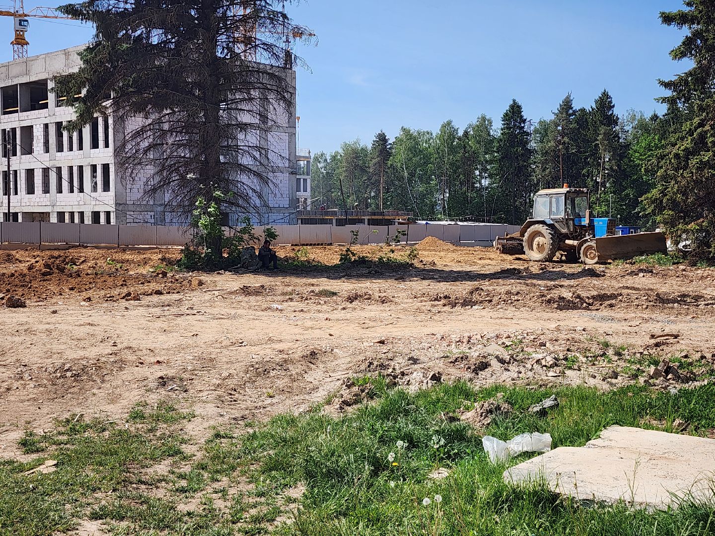 новая школа, Новый детский сад, капсула времени, мытищи,