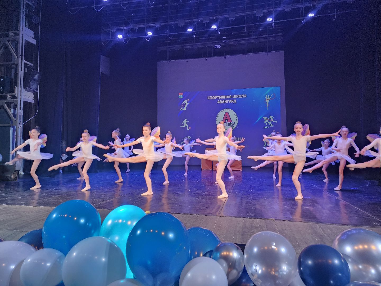 Спортивная школа Авангард, мытищи,