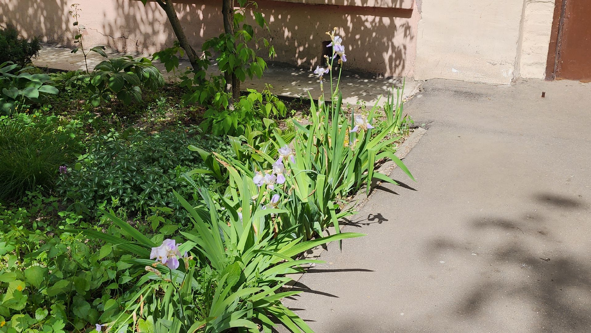 Город-сад, творческий конкурс, Ольга Пушкарева, ВООПИК, Союз садоводов России, награждение,