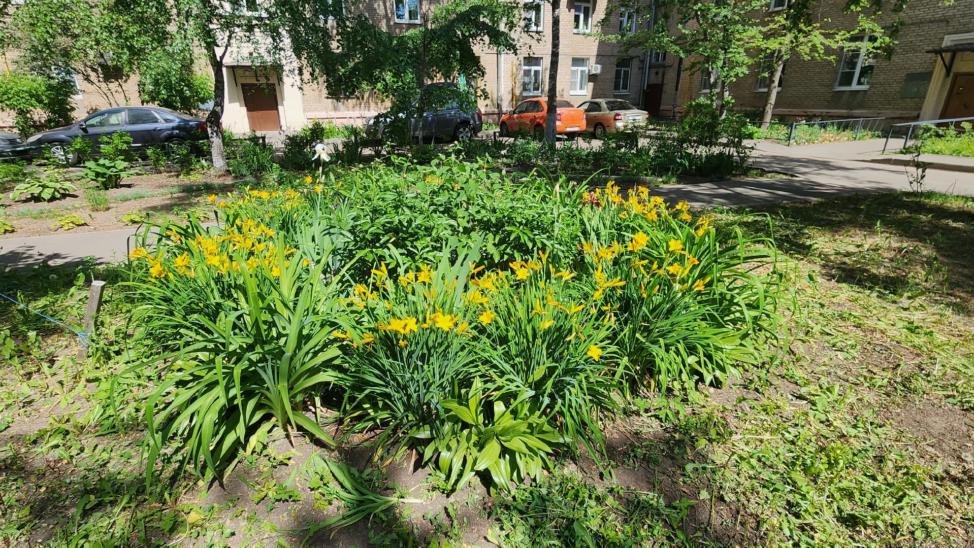 Город-сад, творческий конкурс, Ольга Пушкарева, ВООПИК, Союз садоводов России, награждение,
