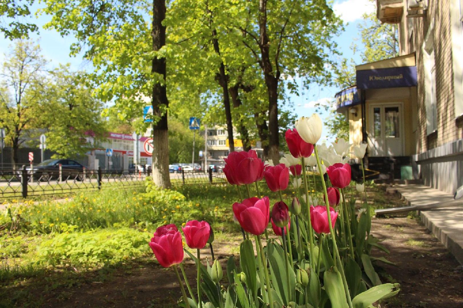 Город-сад, творческий конкурс, Ольга Пушкарева, ВООПИК, Союз садоводов России, награждение,