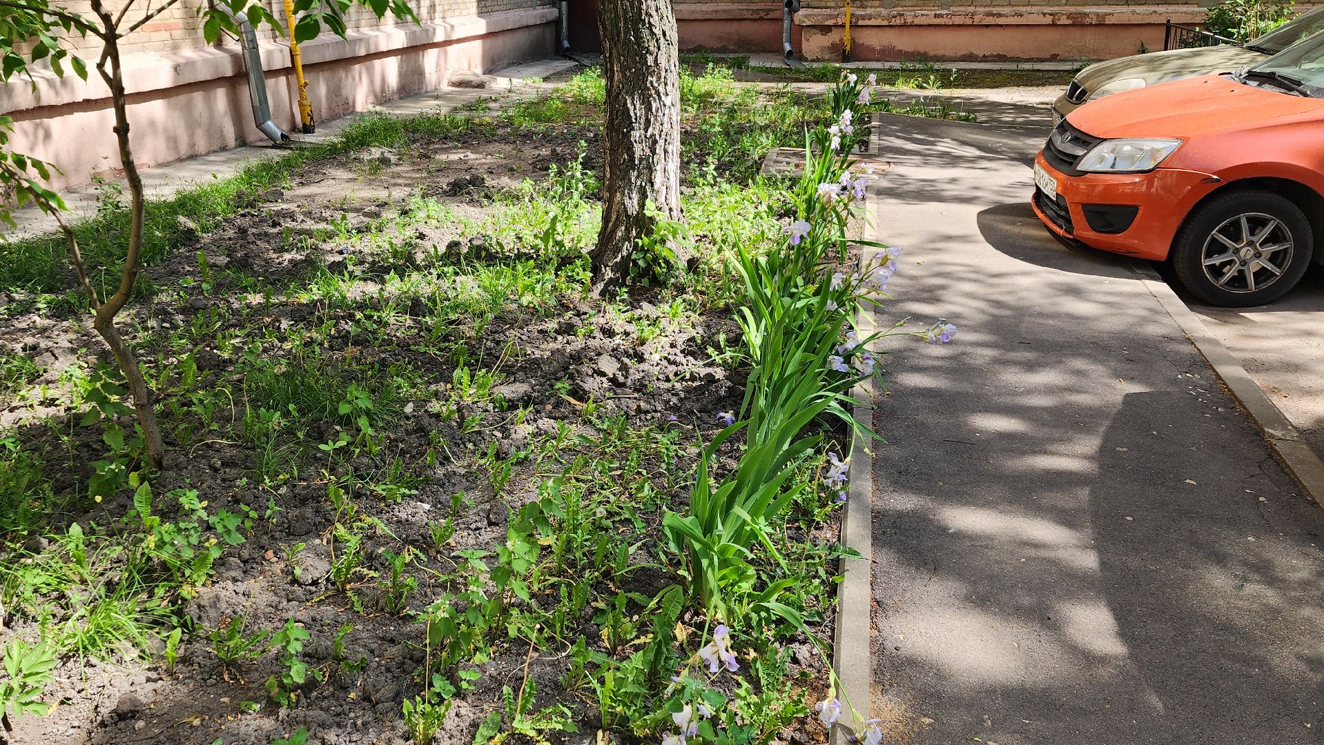 Город-сад, творческий конкурс, Ольга Пушкарева, ВООПИК, Союз садоводов России, награждение,