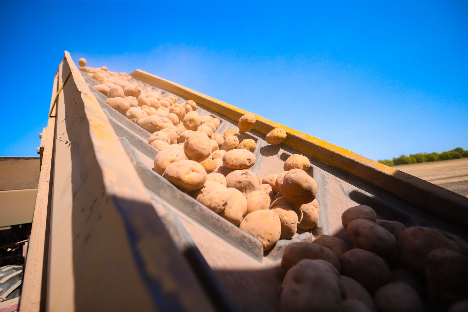 посевная, аграрии, Агрофорвард, Большая Шатура, картофель,