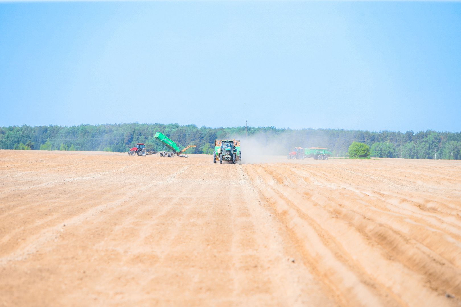 посевная, аграрии, Агрофорвард, Большая Шатура, картофель,