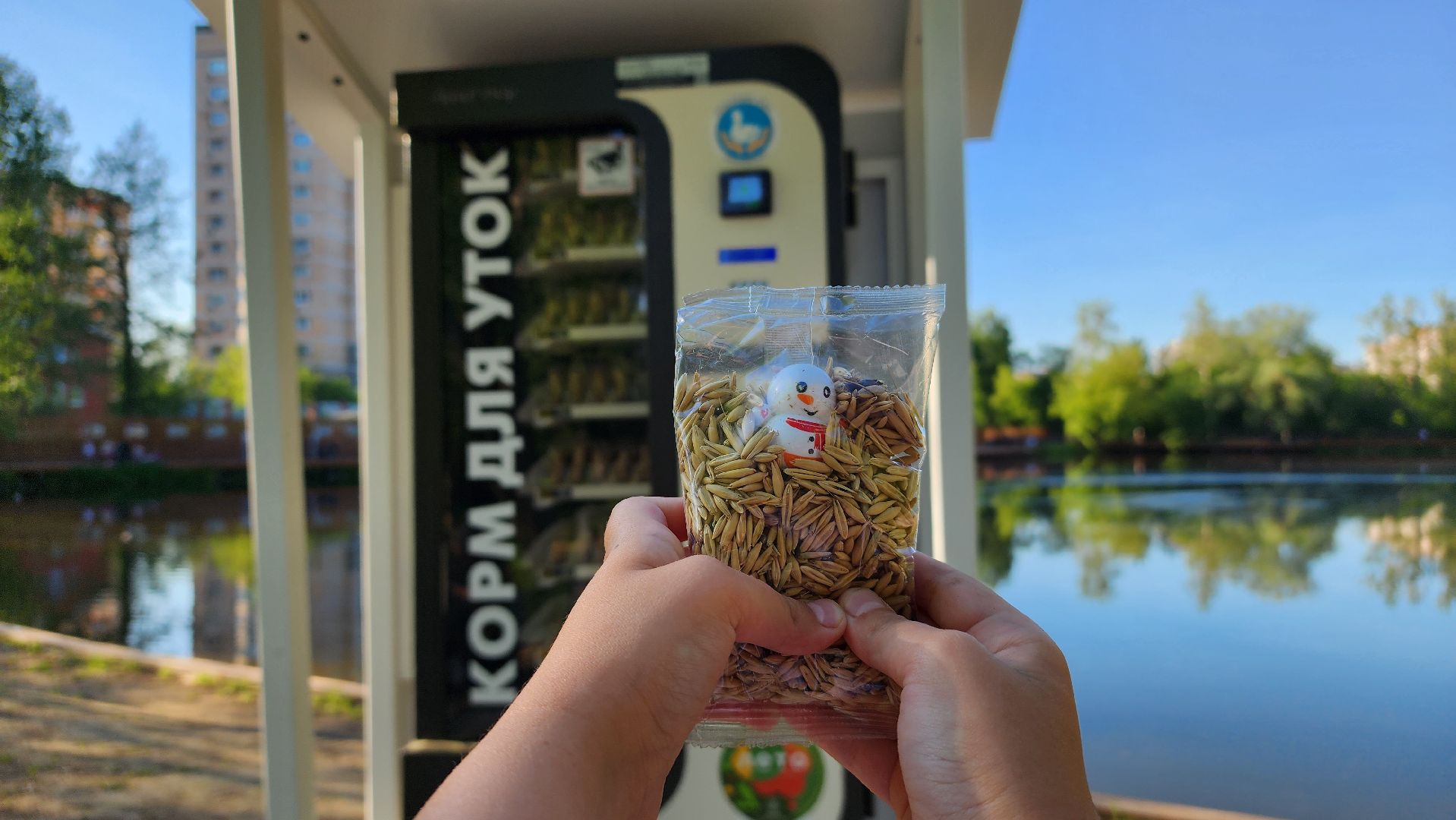 парки подмосковья, Лосино-Петровский, животные, птицы,