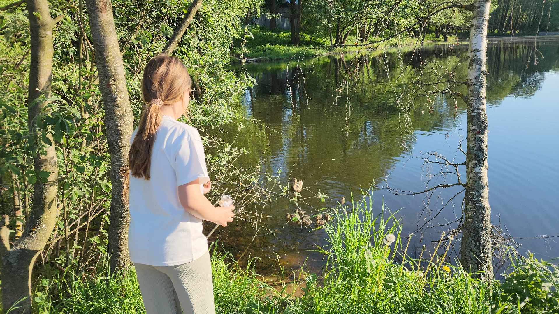 парки подмосковья, Лосино-Петровский, животные, птицы,