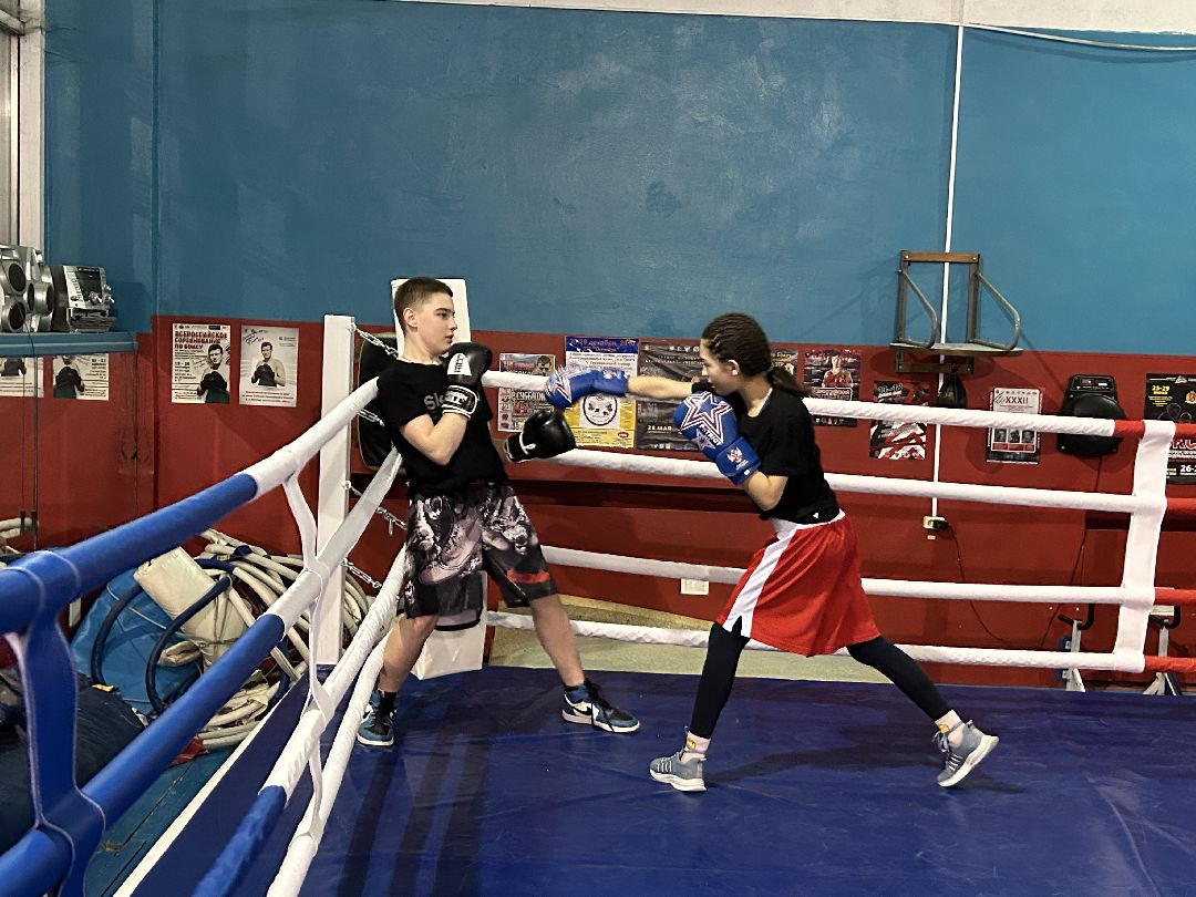 Фрязино, спорт