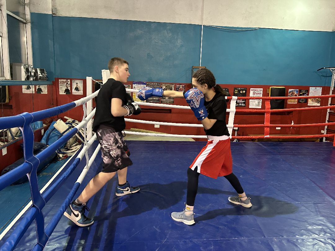 Фрязино, спорт