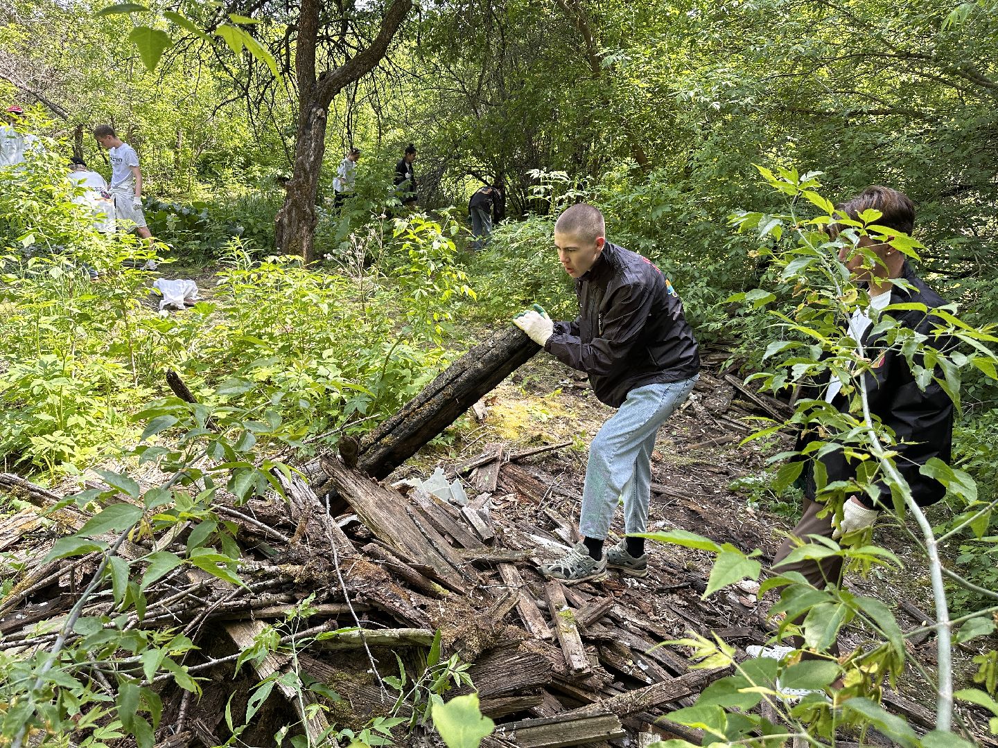 Клин, общество, субботники, Подмосковье, Волонтеры Подмосковья, экология, молодежь,