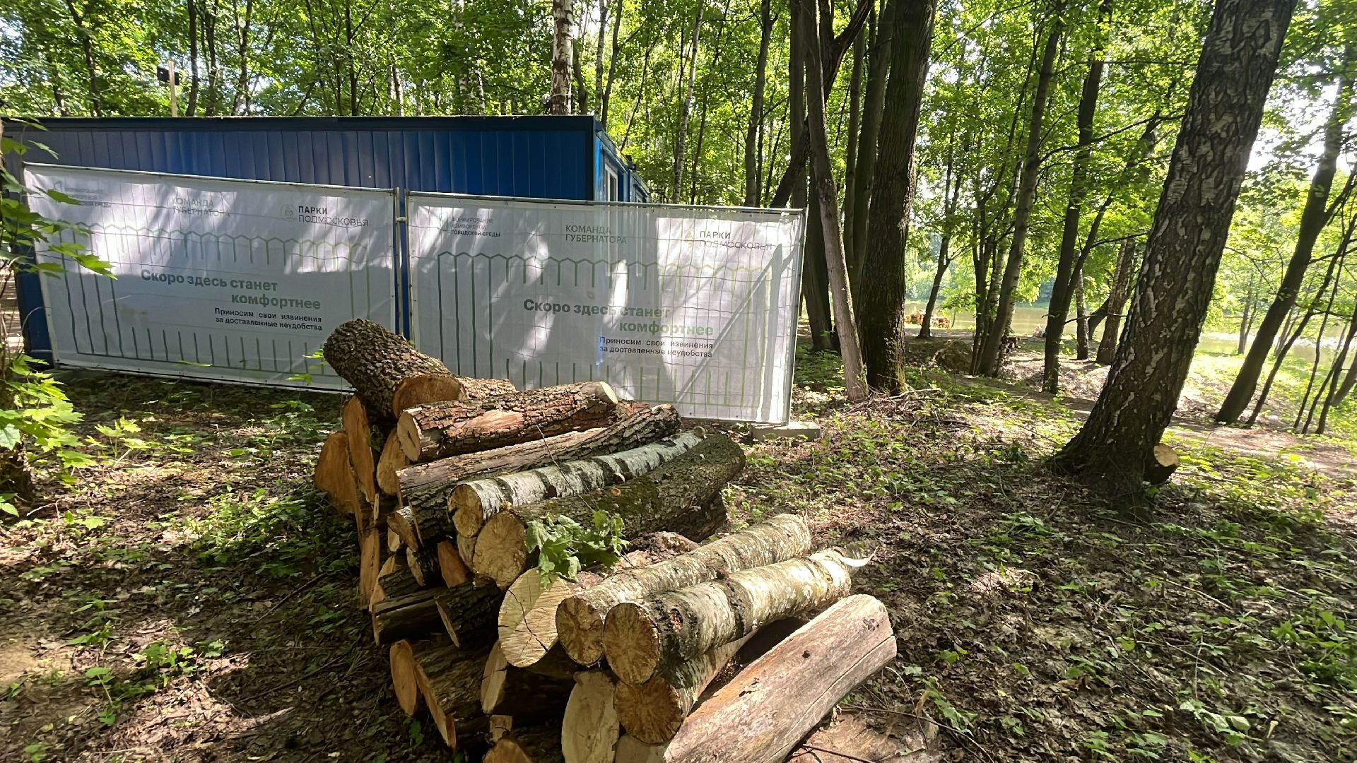 благоустройство, пруд, набережная, лесопарк, кучинский лесопарк,