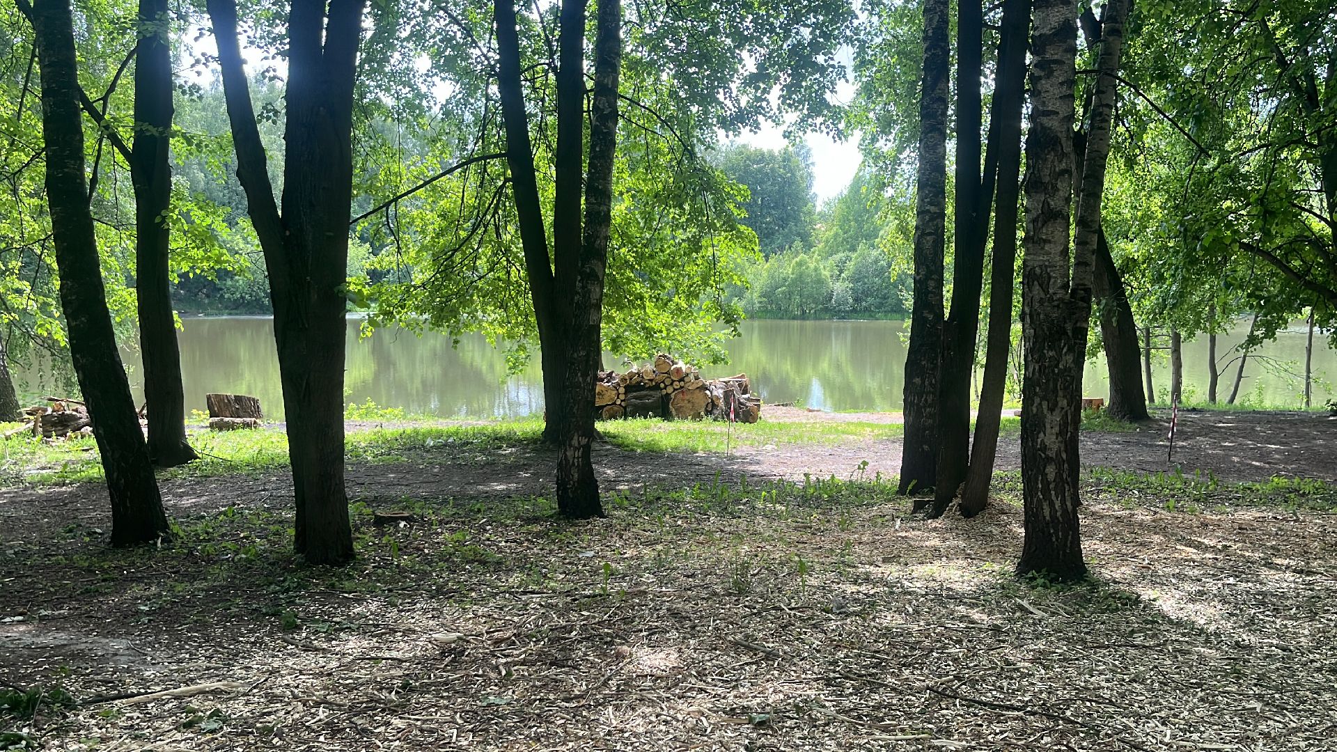 благоустройство, пруд, набережная, лесопарк, кучинский лесопарк,