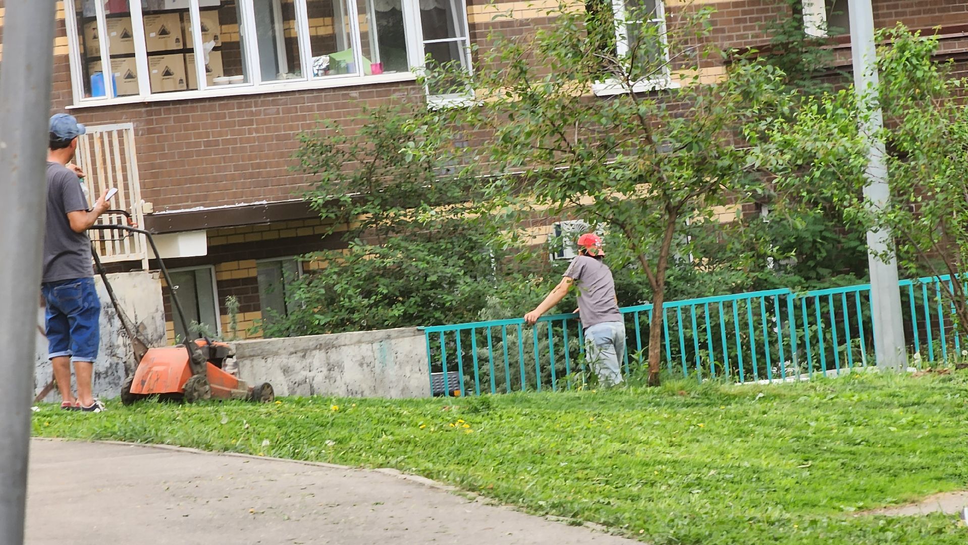 долгопрудный, благоустровйство, покос травы, покраска детских площадок, покраска перил,