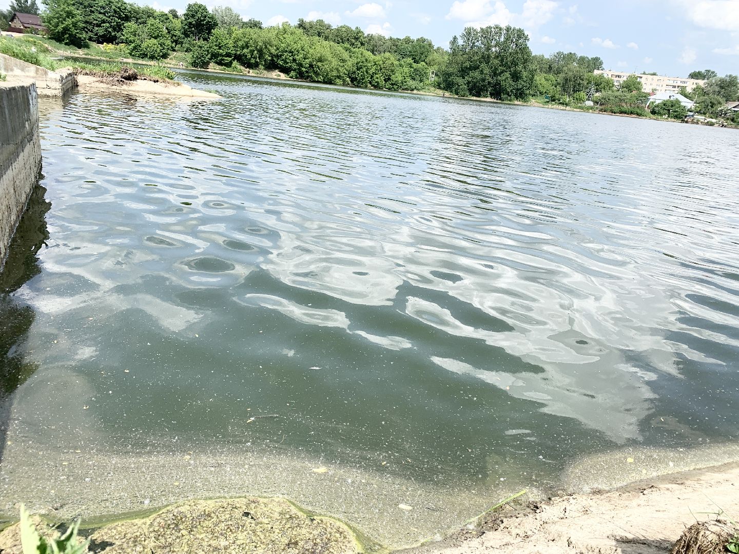 Балашиха, Подмосковье, Река Вьюнка, Село Новый Милет, водоемы, плотина, гидротехнические сооружения,