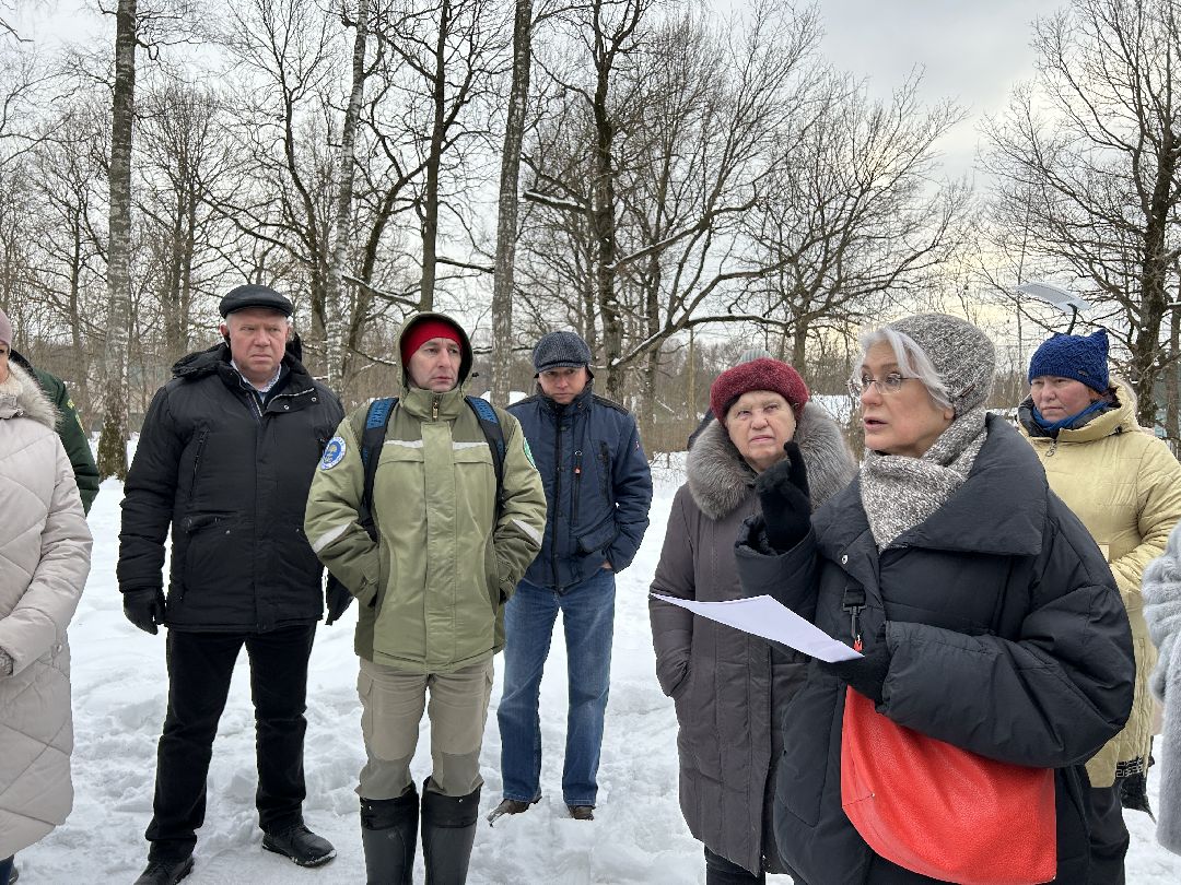 Фрязино, благоустройство