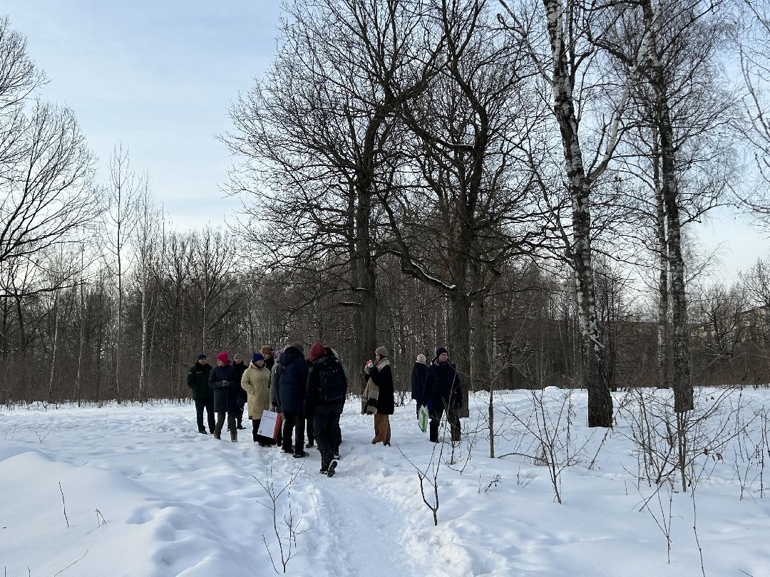 Фрязино, благоустройство