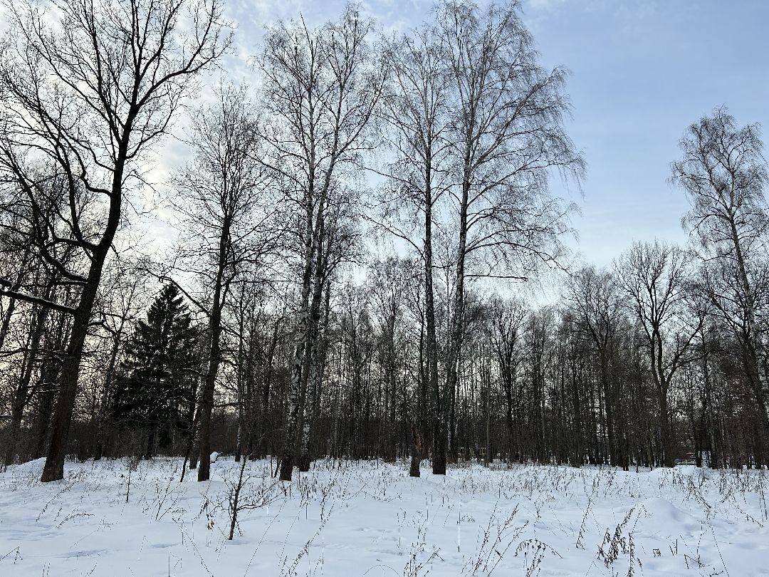 Фрязино, благоустройство