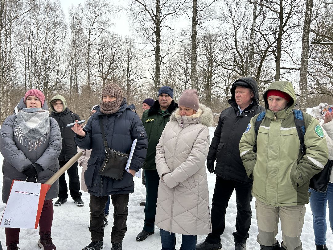 Фрязино, благоустройство