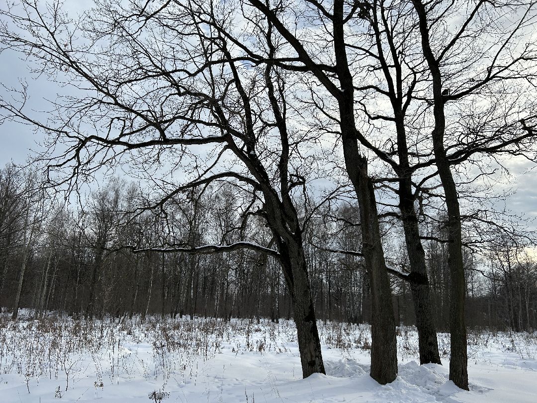 Фрязино, благоустройство