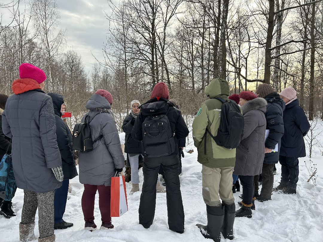 Фрязино, благоустройство