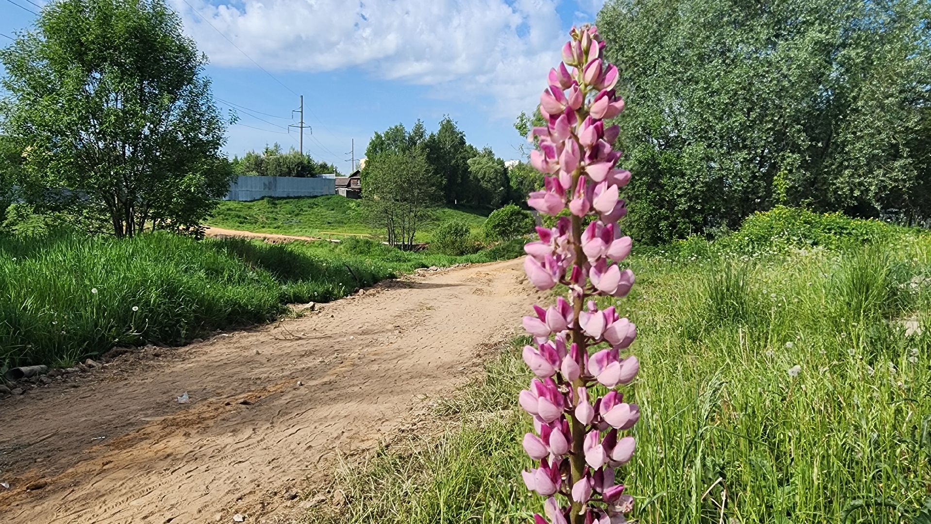 Одинцово, Малые вязмы, пешком, благоустройство, губернаторская программа, пешеходные дороги,