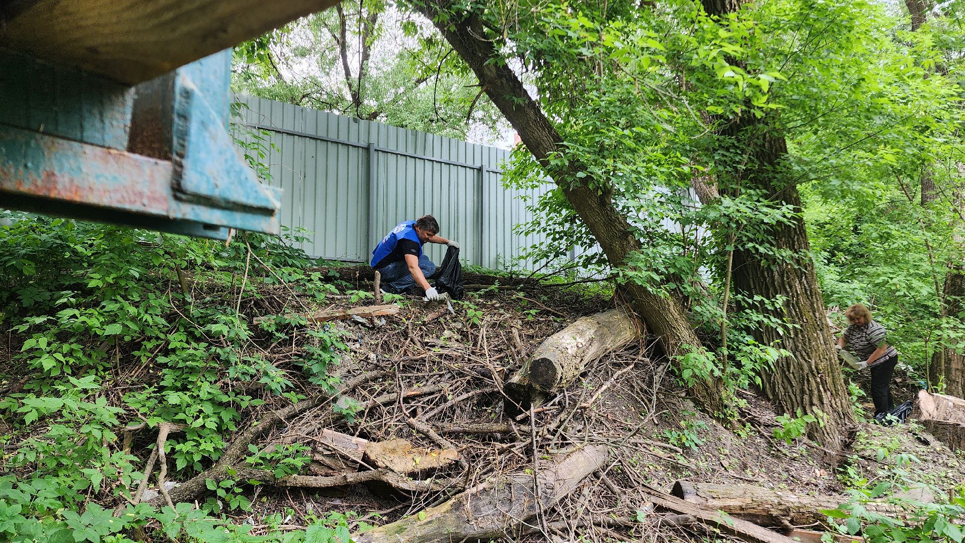 Домодедово, Подмосковье, Экология, Окружающая среда, Очистка берега,