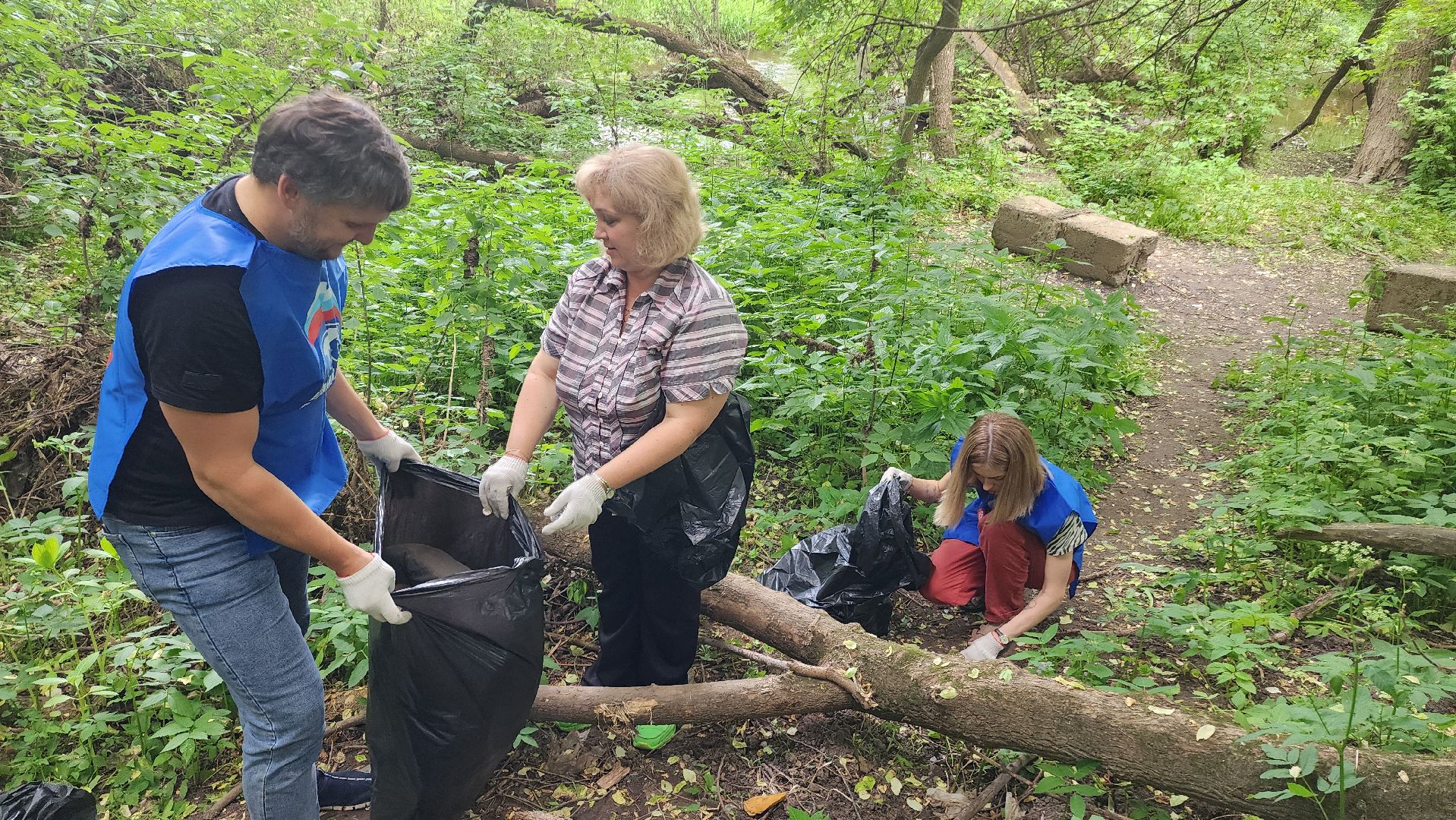 Домодедово, Подмосковье, Экология, Окружающая среда, Очистка берега,