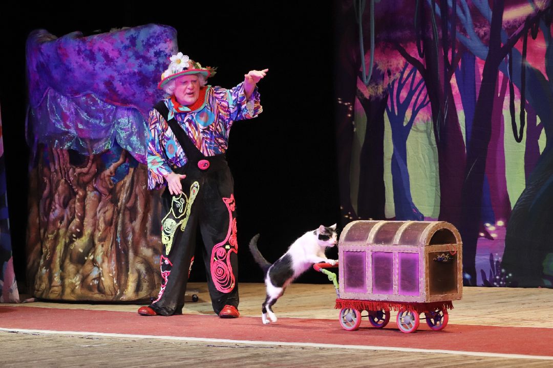 Фрязино, общество