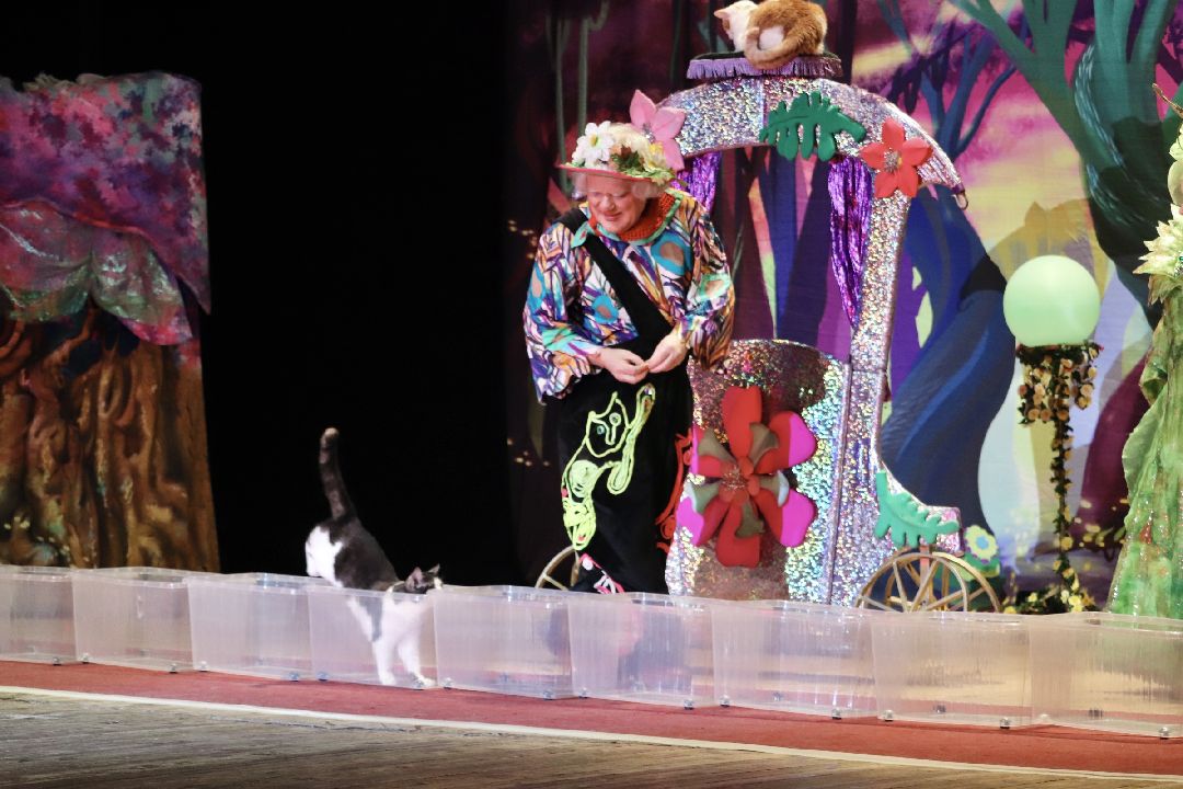 Фрязино, общество