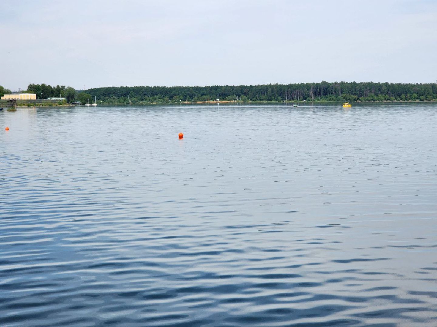 Солнечногорск, Пляж, Озеро, Пляжный сезон, Безопасность,