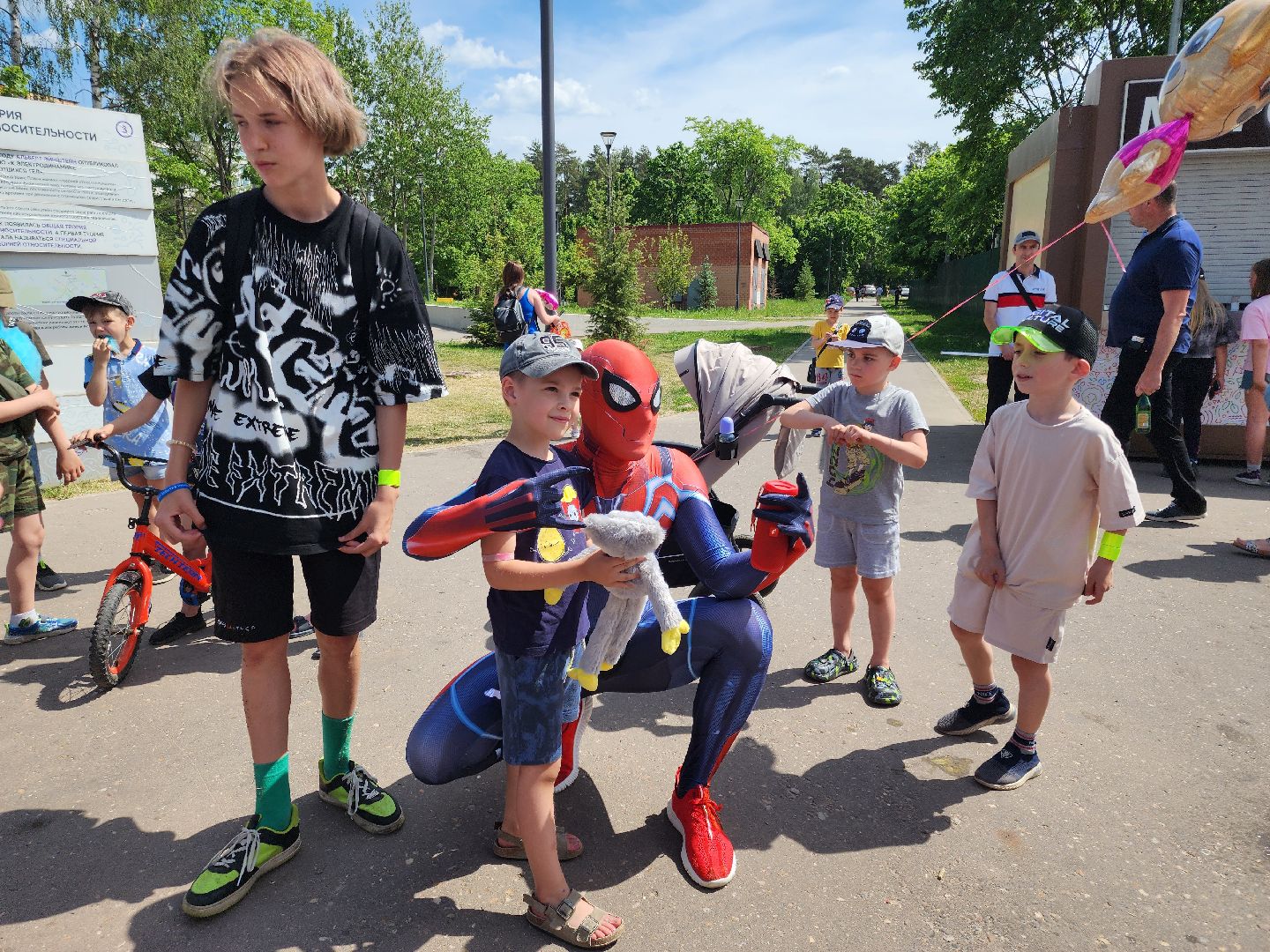 Черноголовка,