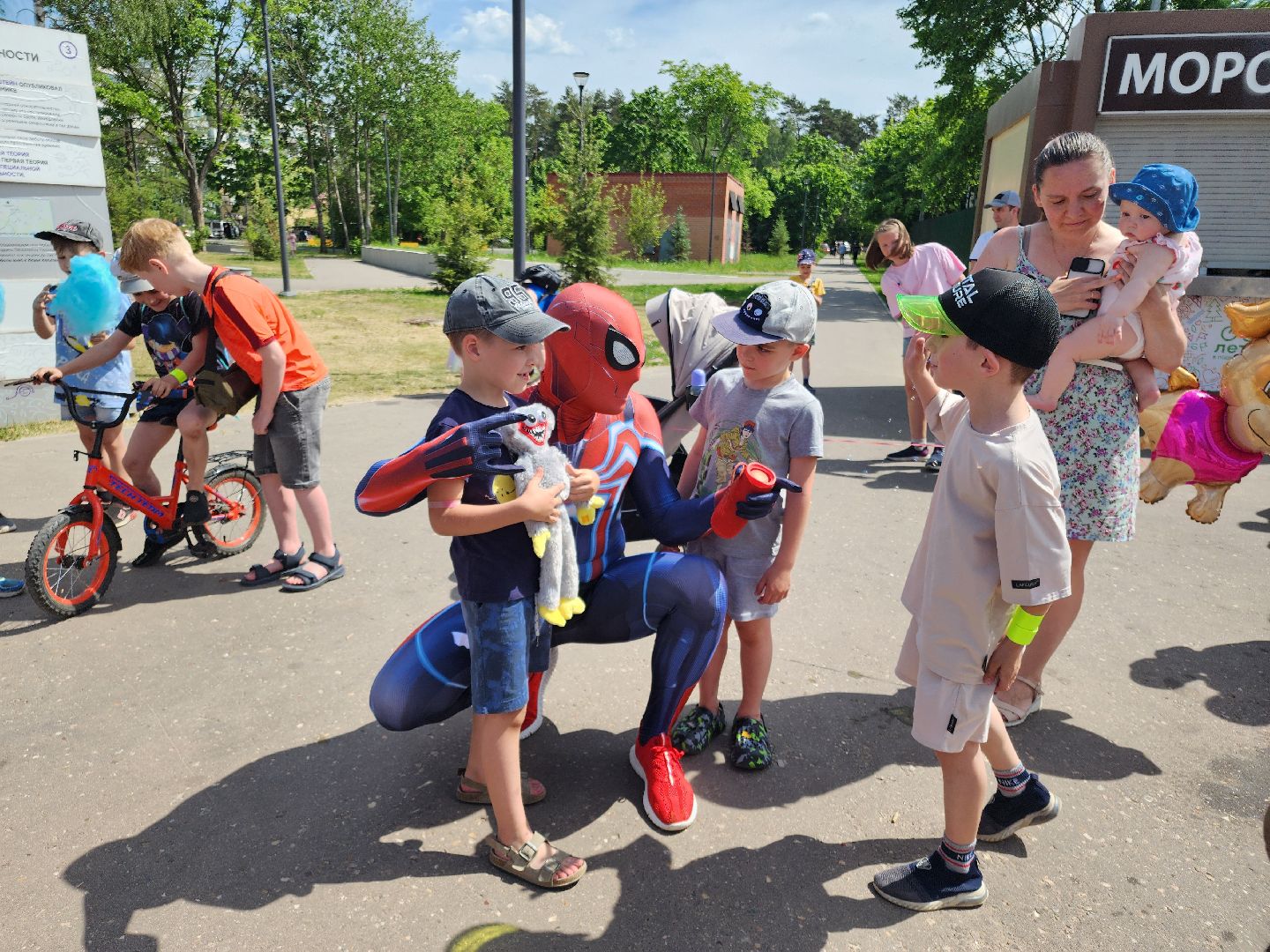 Черноголовка,