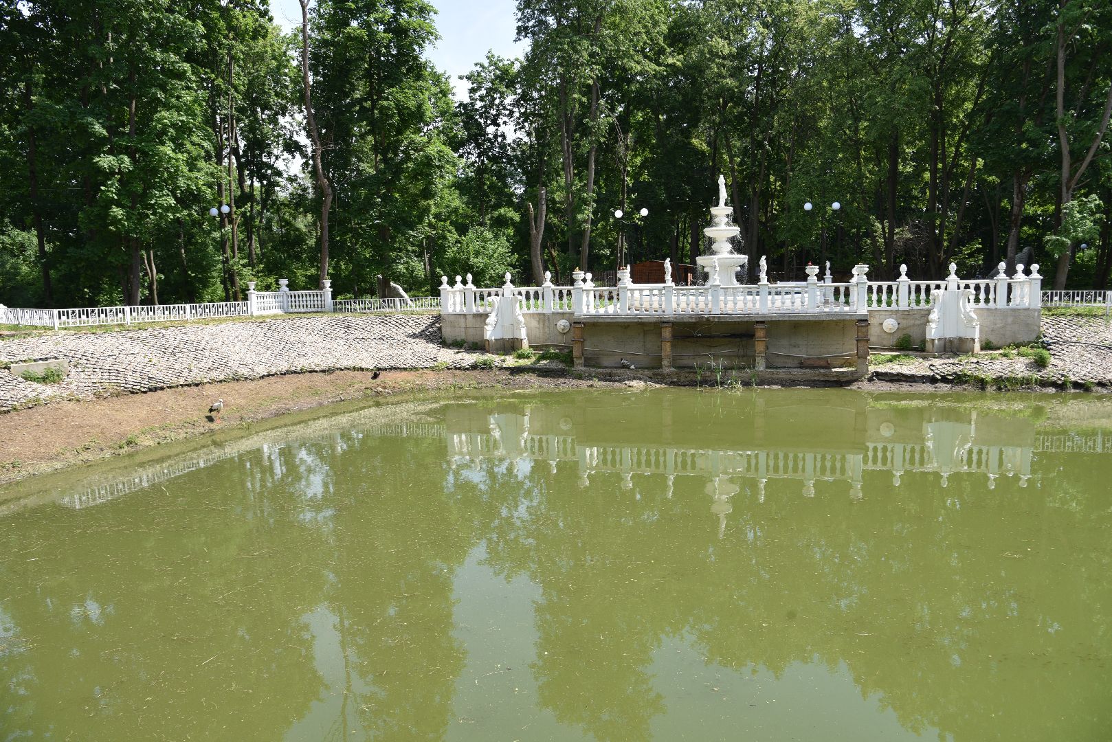 лотошино, лотошинский парк, день защиты детей, парки подмосковья, фонтан, дети,