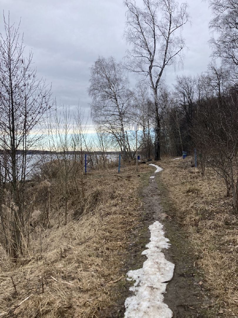 Солнечногорск, благоустройство, набережная, зона отдыха, озеро Сенеж