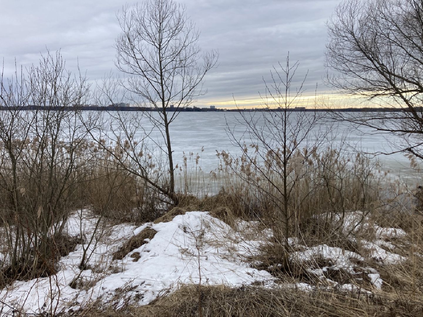 Солнечногорск, благоустройство, набережная, зона отдыха, озеро Сенеж