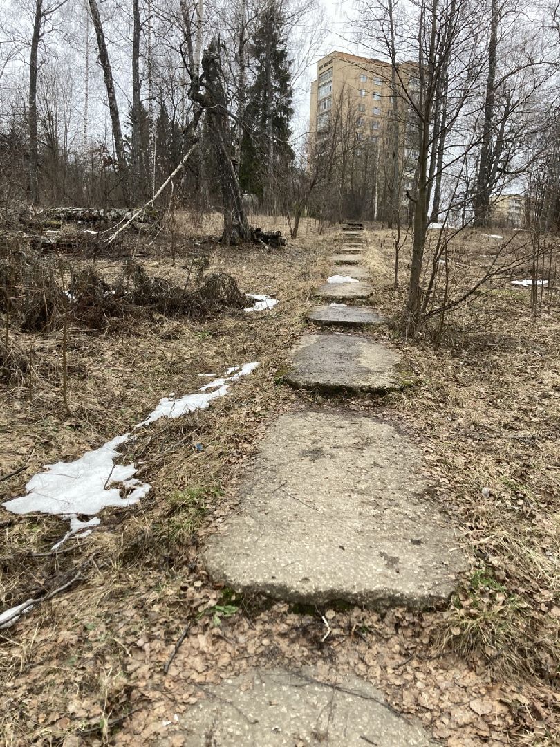 Солнечногорск, благоустройство, набережная, зона отдыха, озеро Сенеж