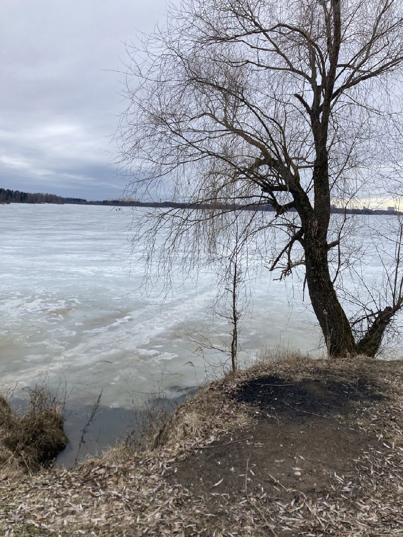 Солнечногорск, благоустройство, набережная, зона отдыха, озеро Сенеж