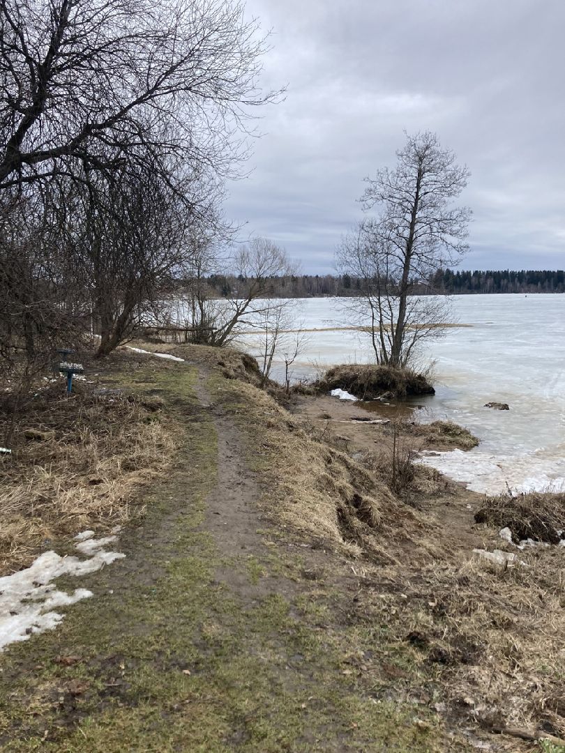 Солнечногорск, благоустройство, набережная, зона отдыха, озеро Сенеж