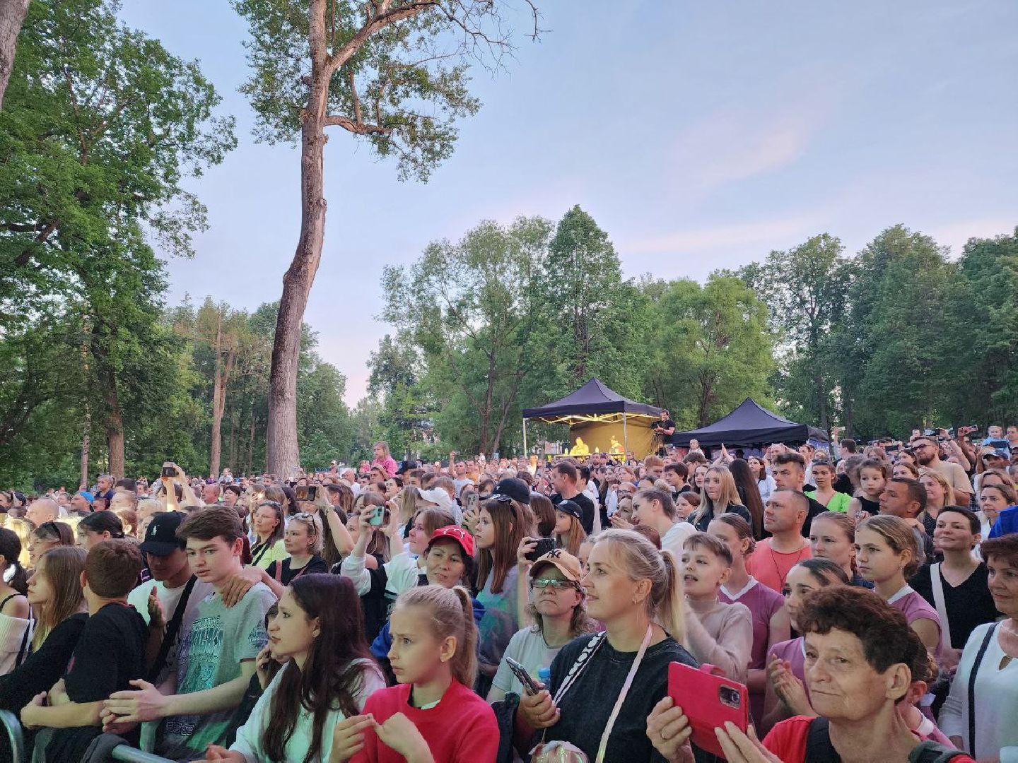 чехов, культура, город танцует в парках, губернатор воробьев, егор дружинин,