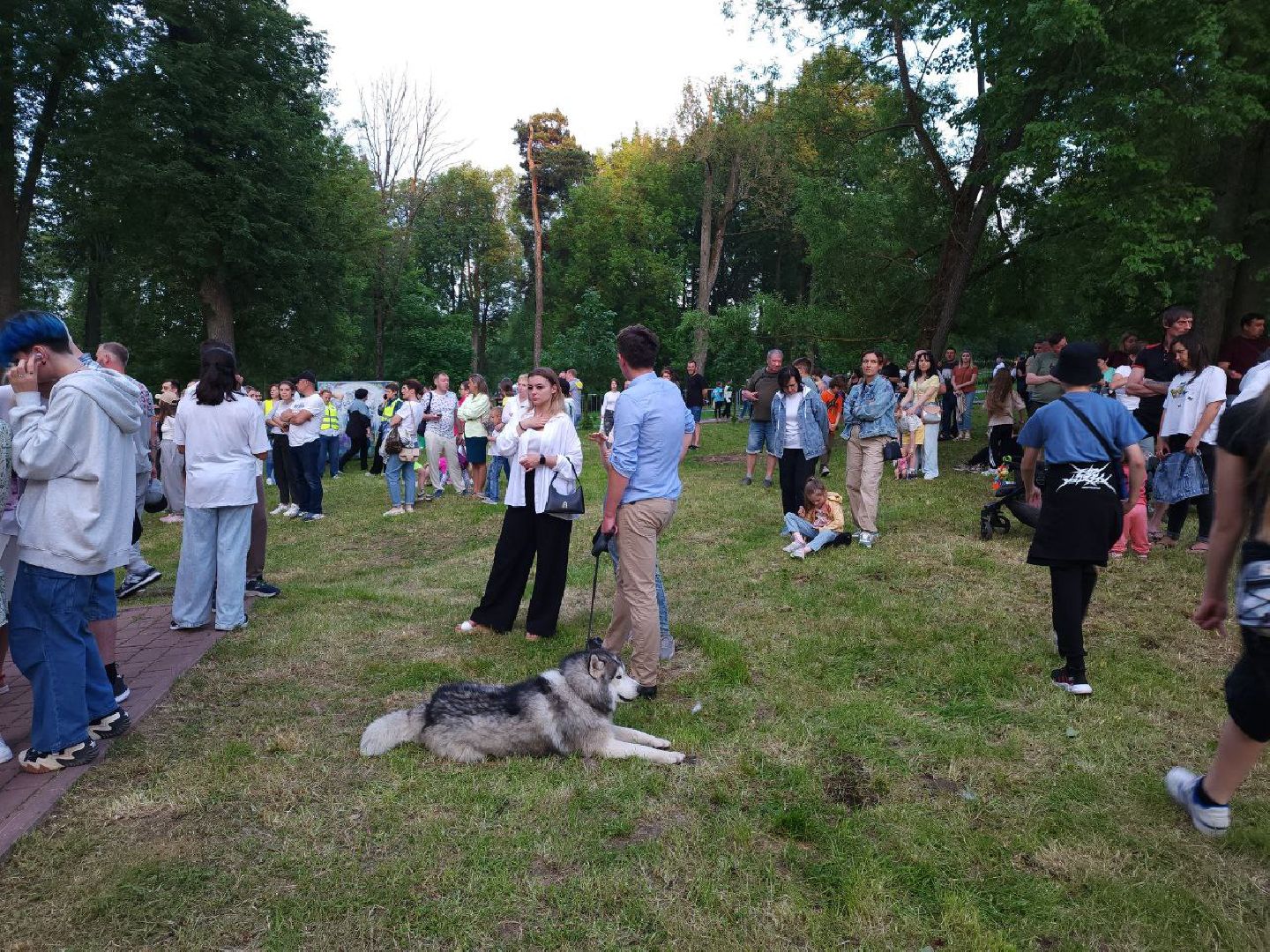 чехов, культура, город танцует в парках, губернатор воробьев, егор дружинин,