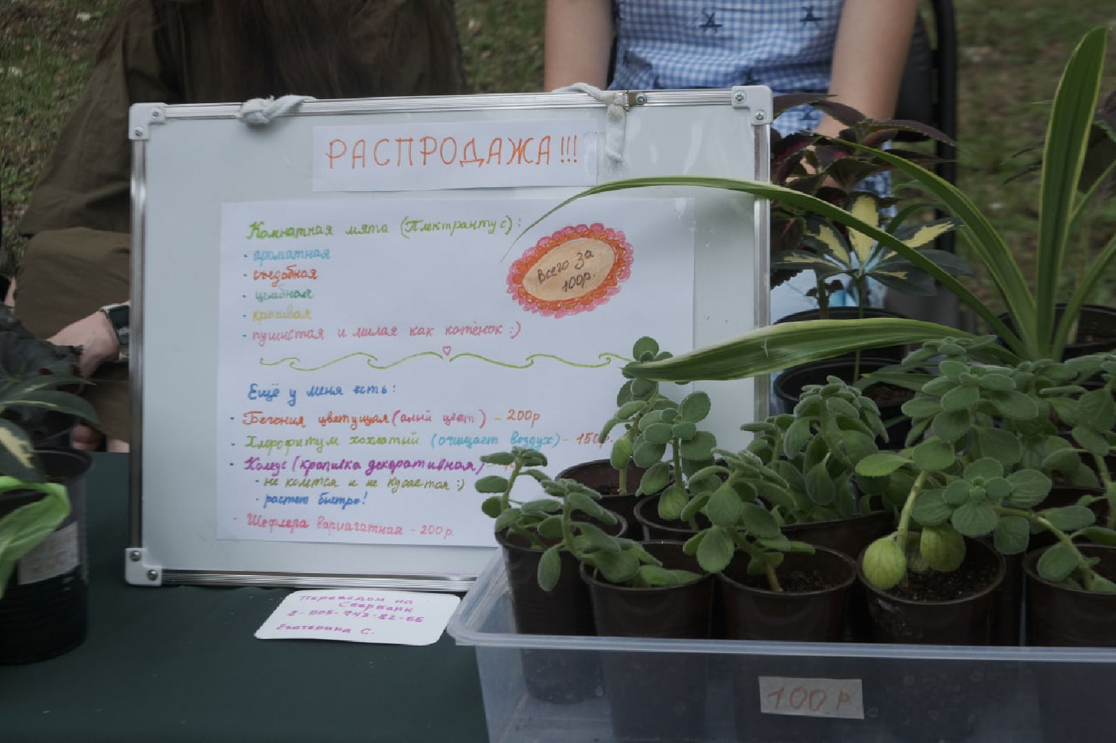 пущино, серпухов, общество, день защиты детей,