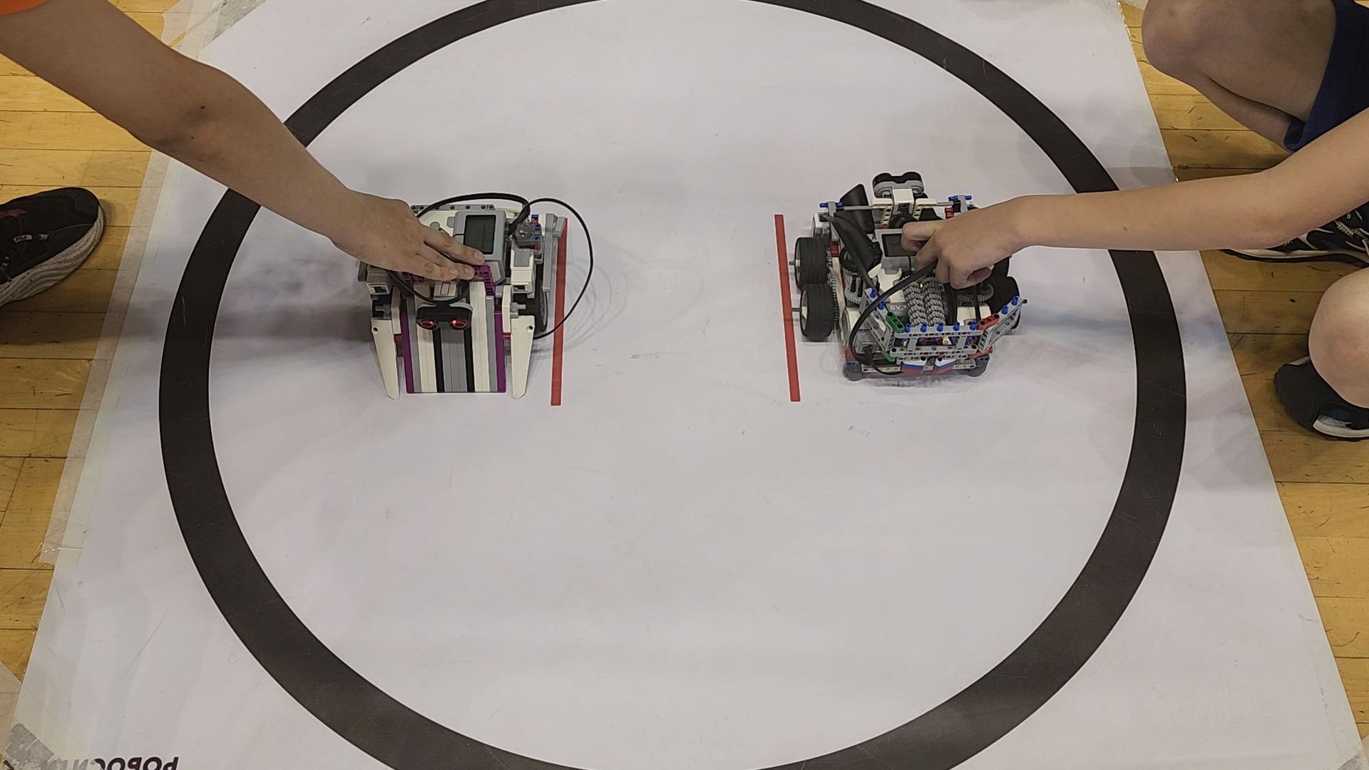 одинцово, робототехника, робосити, дети, образование, it,