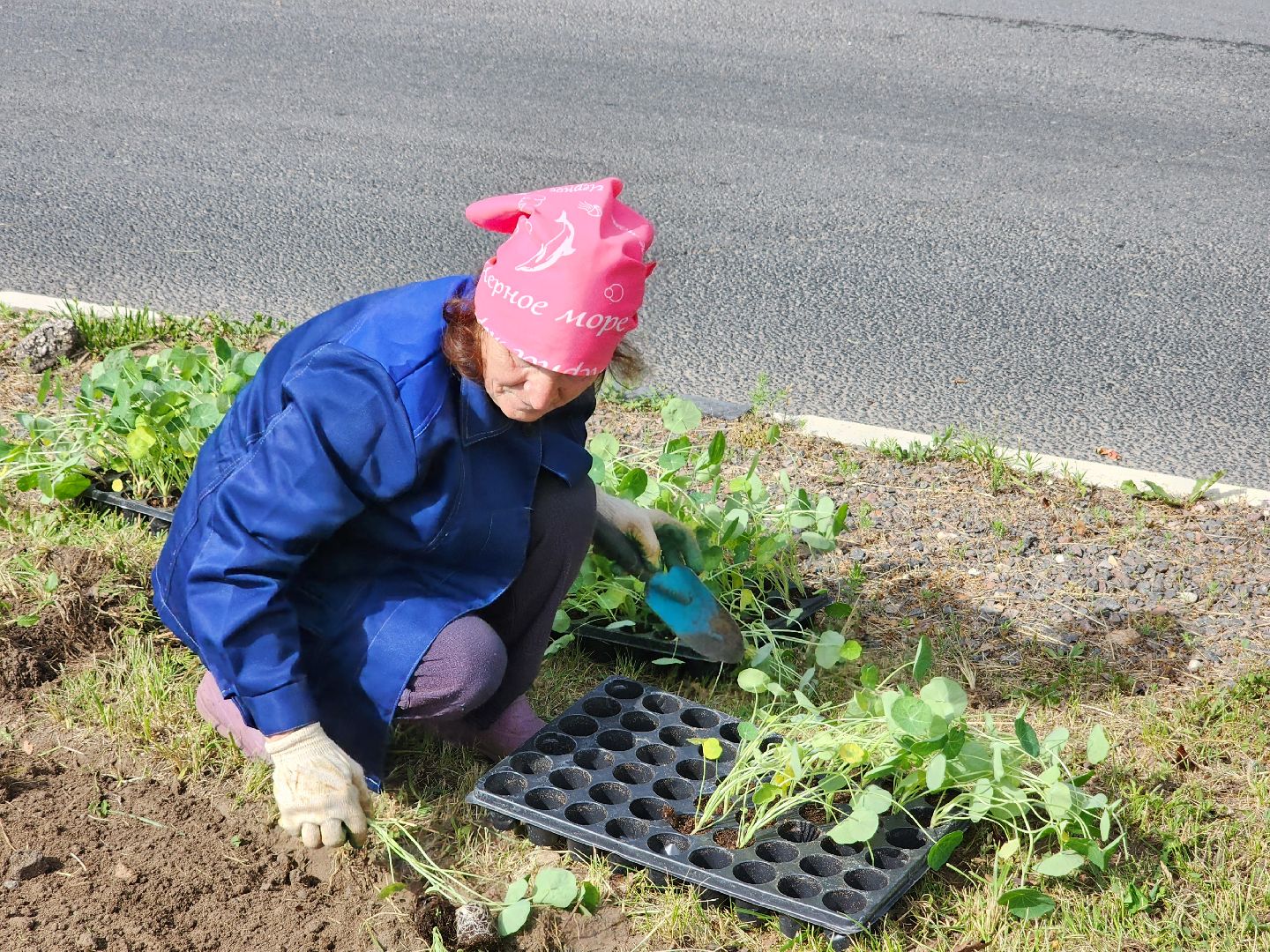 Цветы, Благоустройство, Клумбы, Протвино, Сезонное благоустройство,