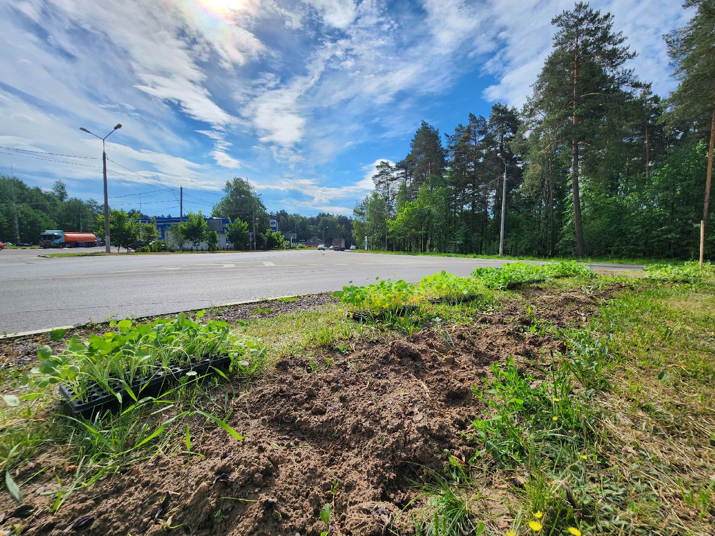 Цветы, Благоустройство, Клумбы, Протвино, Сезонное благоустройство,