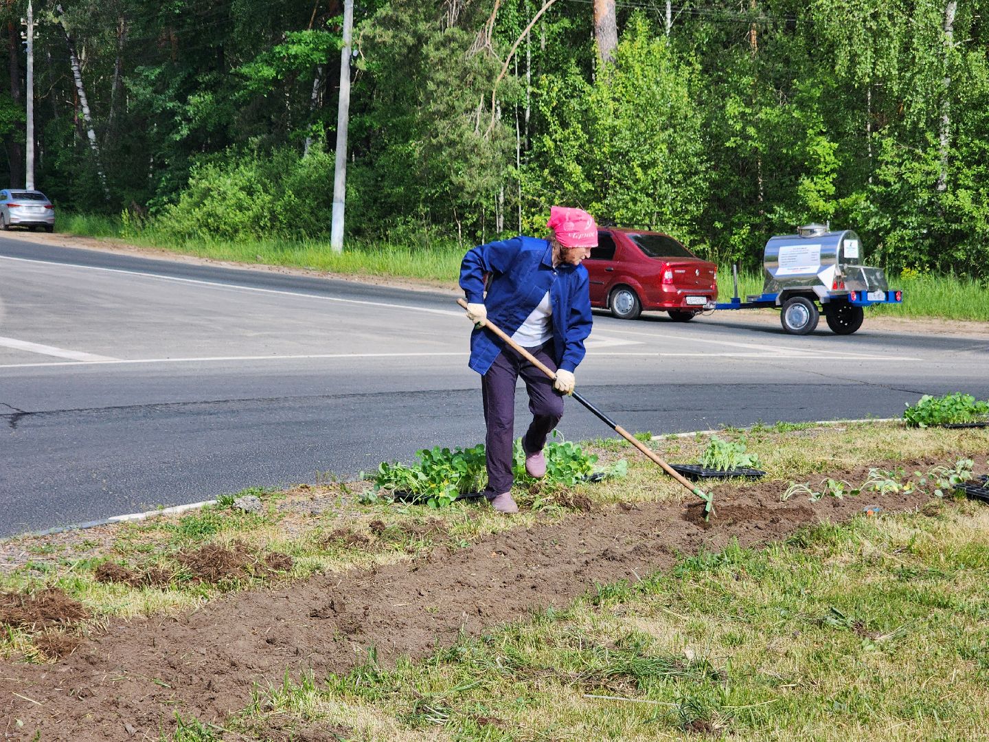 Цветы, Благоустройство, Клумбы, Протвино, Сезонное благоустройство,