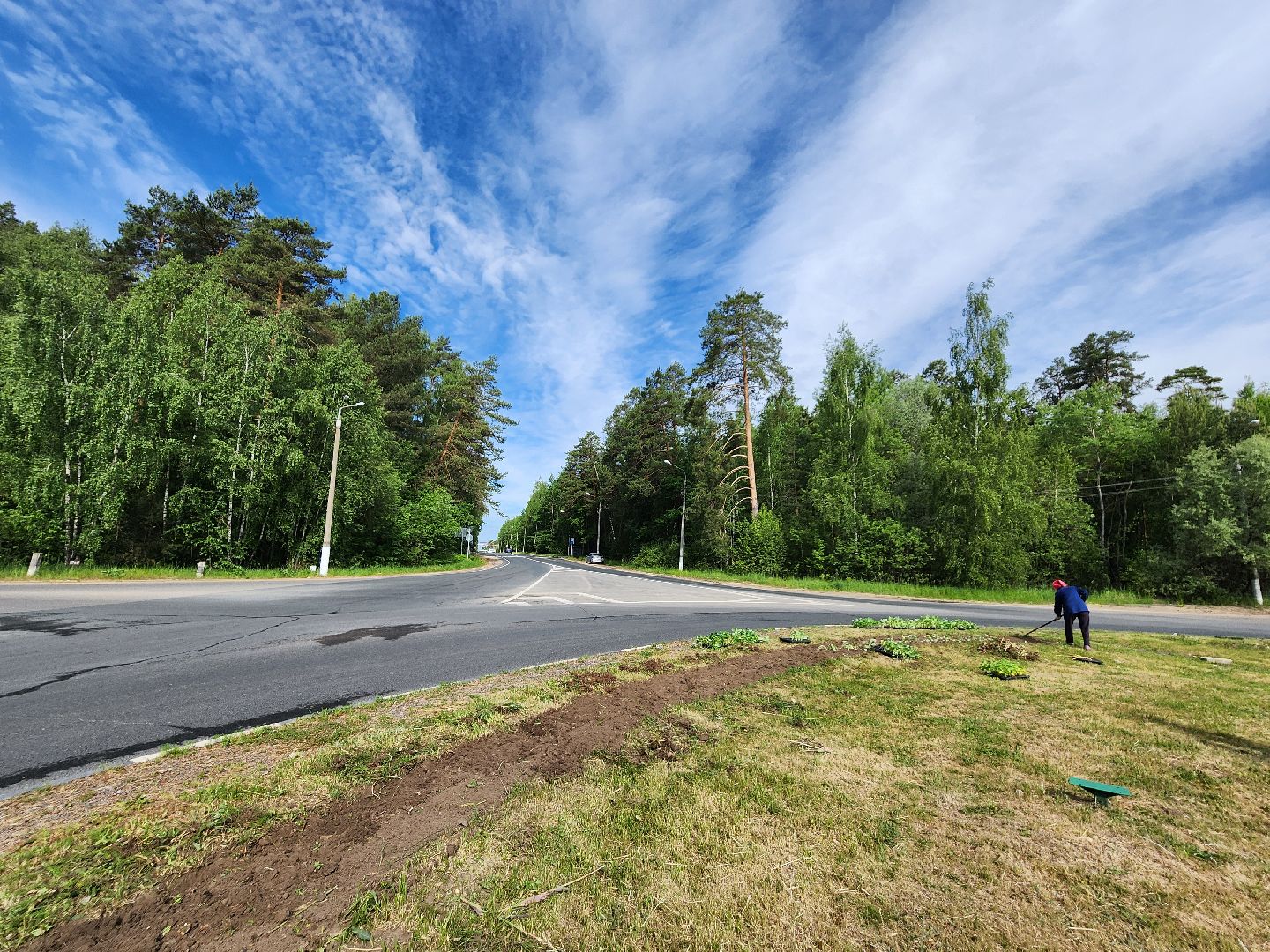 Цветы, Благоустройство, Клумбы, Протвино, Сезонное благоустройство,
