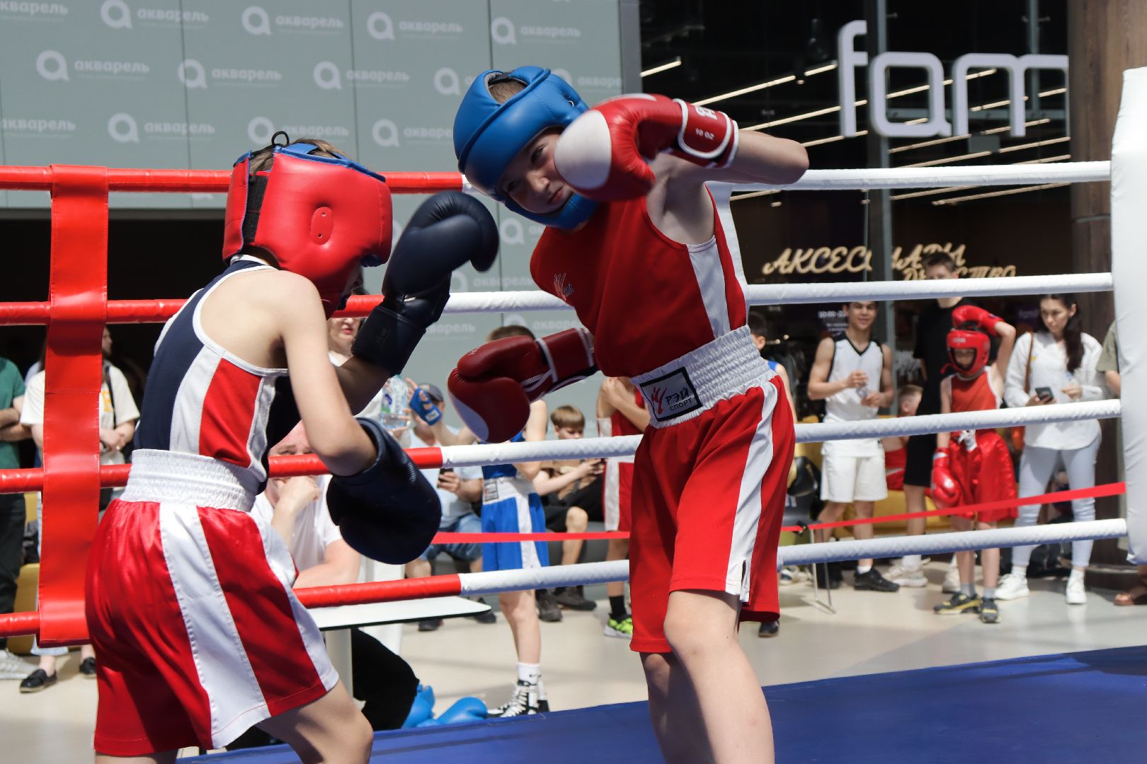 пушкино, бокс, турнир, спорт, соревнование,
